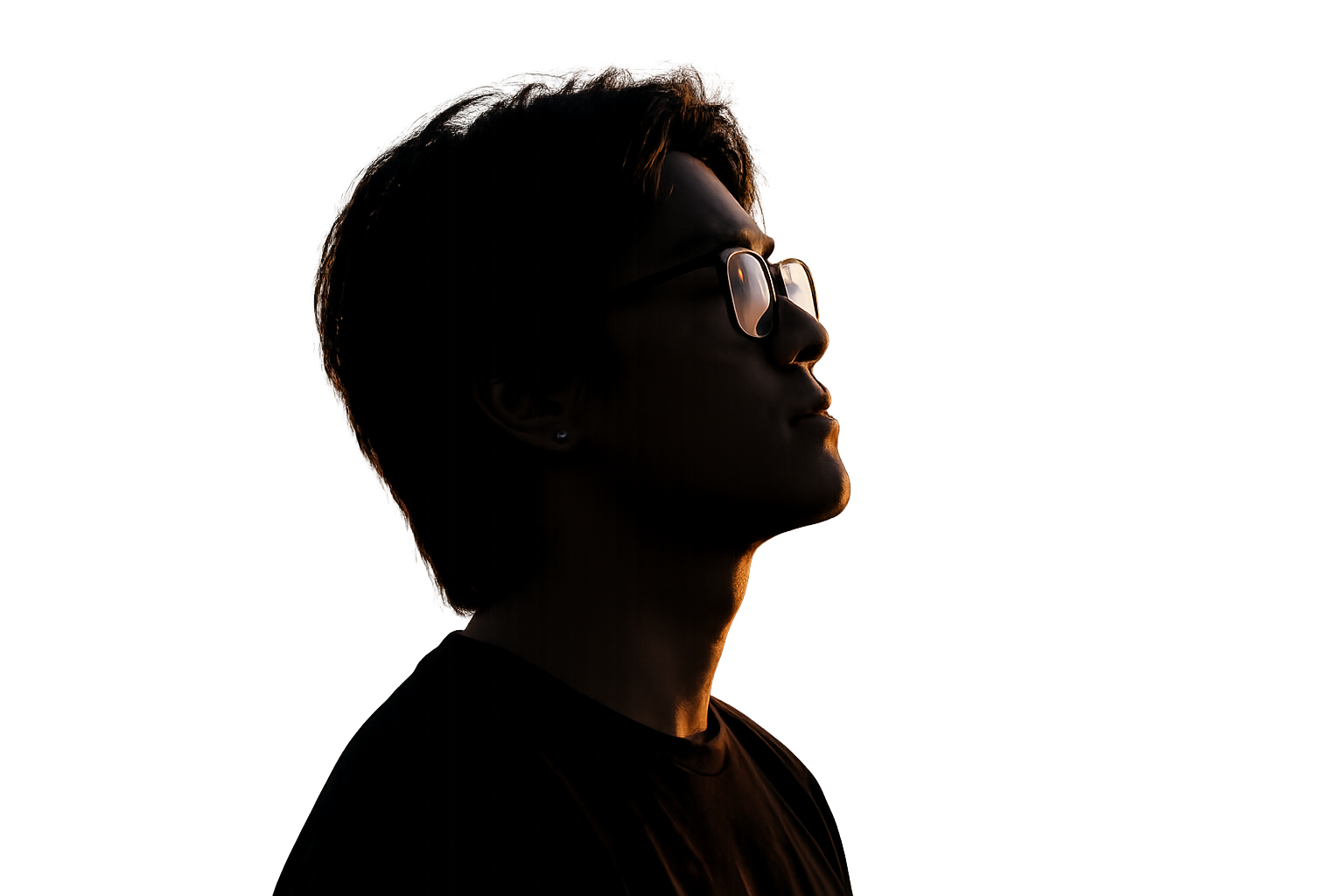 Vincent La